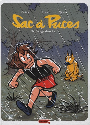Sac à puces 7 - De l'orage dans l'air
