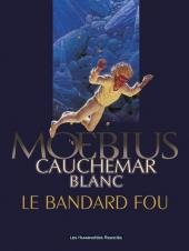 Moebius 1 - Cauchemar blanc - Le bandard fou