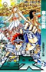 couverture, jaquette Saint Seiya - Les Chevaliers du Zodiaque 13  (Shueisha) Manga
