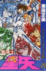 couverture, jaquette Saint Seiya - Les Chevaliers du Zodiaque 25  (Shueisha) Manga