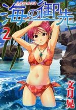 couverture, jaquette Umi no Misaki 2  (Hakusensha) Manga