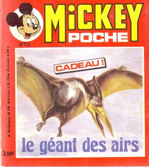 Mickey poche 55 - 55