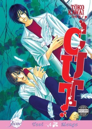 couverture, jaquette Cut  USA (DMP) Manga