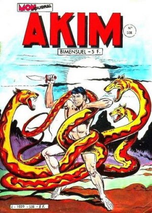 Akim 538 - Les flammes froides