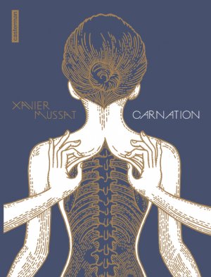 Carnation 1 - Carnation