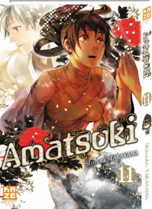 couverture, jaquette Amatsuki 11  (kazé manga) Manga