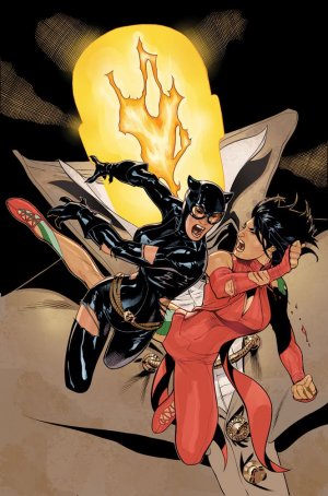 couverture, jaquette Catwoman 33 Issues V4 (2011 - 2016) (DC Comics) Comics