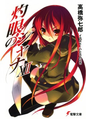 couverture, jaquette Shakugan No Shana 12  (Media works) Light novel