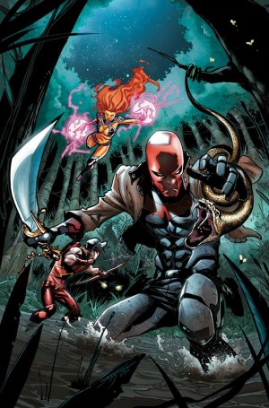 Red Hood and The Outlaws # 35 Issues V1 (2011 - 2015) - Reboot 2011