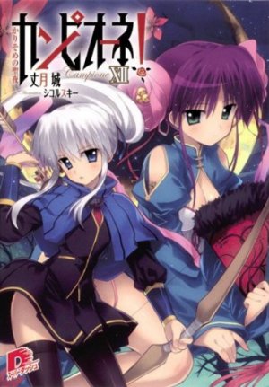 couverture, jaquette Campione! 12  (Shueisha) Light novel
