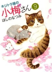 couverture, jaquette Plum, un amour de chat 9  (Shônen Gahôsha) Manga
