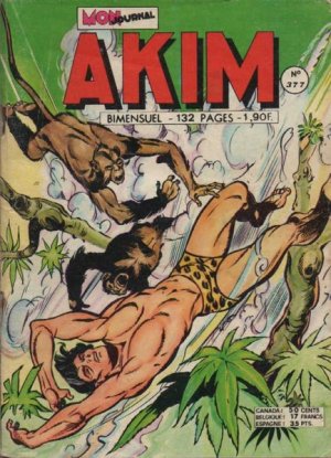 Akim 377 - Le troisième homme