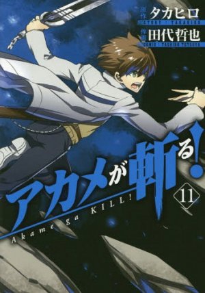 couverture, jaquette Red Eyes Sword - Akame ga Kill ! 11  (Square enix) Manga