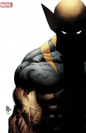 Wolverine # 20