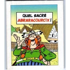 Asterix - quel sacré... 2 - Quel sacré ABRARACOURCIX!