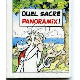 Asterix - quel sacré... 6 - Quel sacré Panoramix!