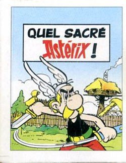 Asterix - quel sacré... 7 - Quel sacré Astérix!