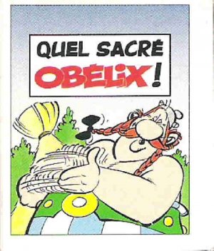 Asterix - quel sacré... 8 - Quel sacré Obélix!