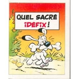 Asterix - quel sacré... 9 - Quel sacré Idéfix!