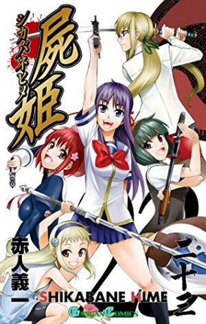 couverture, jaquette Shikabane Hime 23  (Square enix) Manga