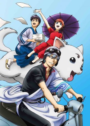 couverture, jaquette Gintama 13 Saison 5 (Aniplex) Série TV animée