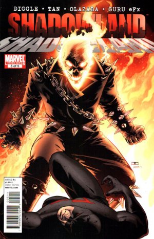 Shadowland # 5 Issues (2010 - 2011)