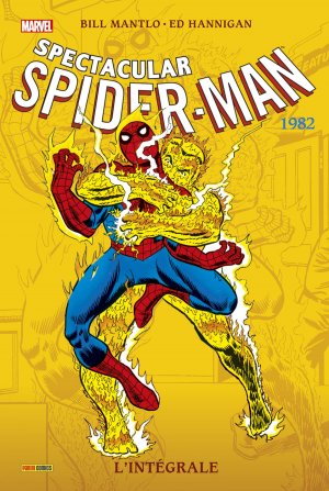 Spectacular Spider-Man # 1982 TPB hardcover - L'Intégrale