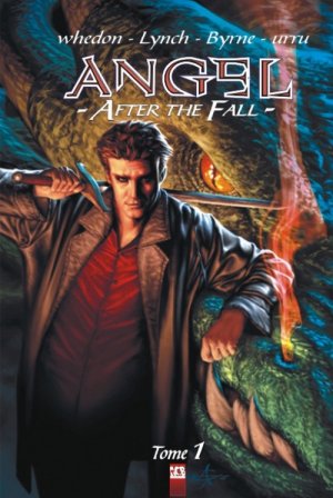 Angel - After the Fall édition TPB softcover (souple)