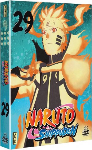 Naruto Shippûden 29