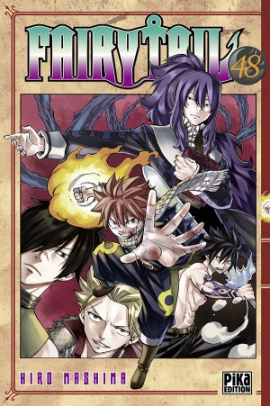 couverture, jaquette Fairy Tail 48  (Pika) Manga