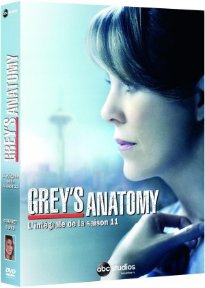 couverture, jaquette Grey's Anatomy 11  - Grey's Anatomy (ABC Studios) Série TV