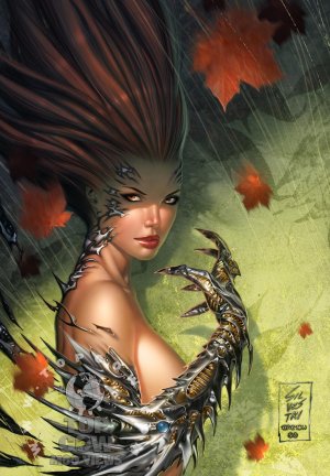 The Art of Top Cow 1