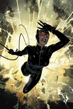 couverture, jaquette Catwoman 50 Issues V4 (2011 - 2016) (DC Comics) Comics