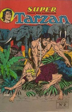 Super Tarzan 2 - La forêt sacrée