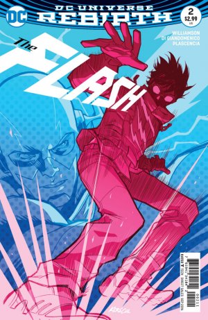Flash # 2 Issues V5 (2016 - 2020) - Rebirth