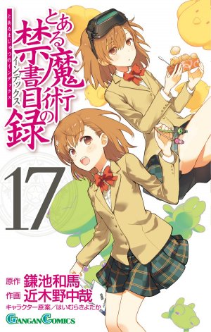 couverture, jaquette A Certain Magical Index 17  (Square enix) Manga