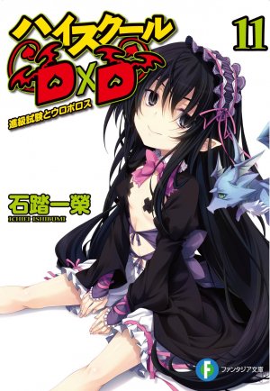 couverture, jaquette High School DxD 11  (Fujimishobo) Light novel