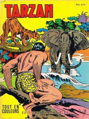 Tarzan 13 - Mission en Afrique