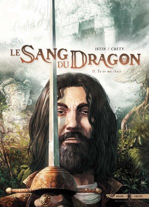couverture, jaquette Le sang du dragon 11  - La voie de l'enchanteur (soleil bd) BD