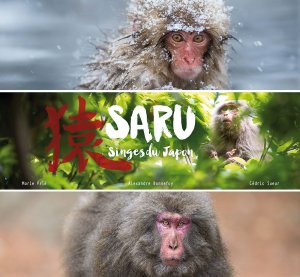 SARU, singes du Japon édition Simple