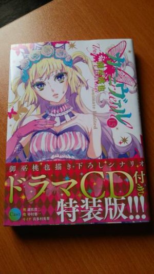 couverture, jaquette Karneval 15 Special edition (Ichijinsha) Manga