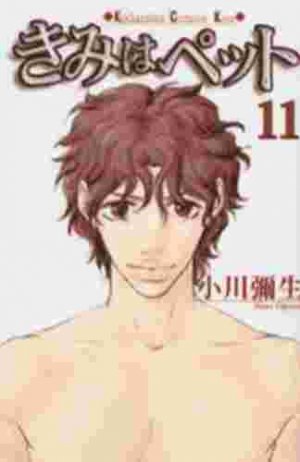 couverture, jaquette Kimi Wa Pet 11  (Kodansha) Manga