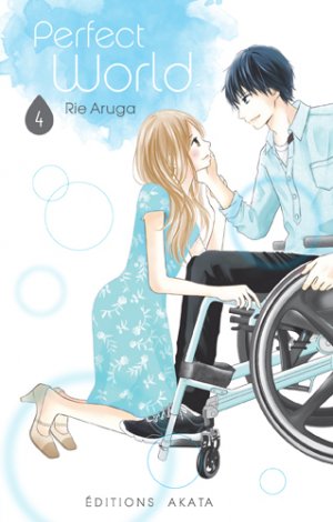 couverture, jaquette Perfect World 4  (akata) Manga