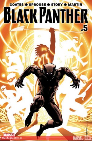 Black Panther # 5 Issues V6 (2016 - 2018)