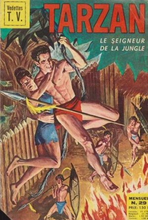 Tarzan 29 - La longue quête de Tarzan - 1