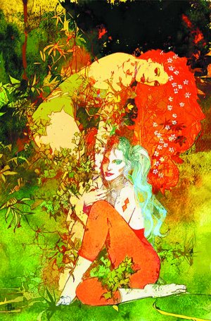 Harley Quinn 4 - Variant cover