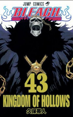 couverture, jaquette Bleach 43  (Shueisha) Manga