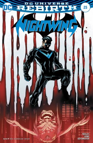 Nightwing 25 - Blockbuster - Finale (Casey Jones Variant)