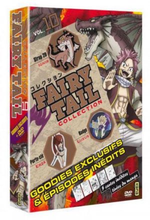 couverture, jaquette Fairy Tail Collection 10  (Kana home video) Série TV animée