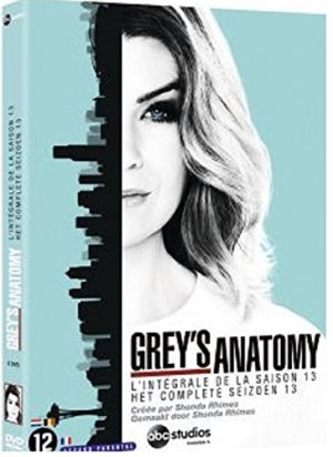 couverture, jaquette Grey's Anatomy 13  - grey's anatomy (ABC Studios) Série TV
